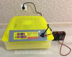 Инкубатор бытовой "SITITEK 48" Инкубатор бытовой "SITITEK 48"